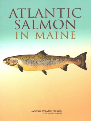 cover image of Atlantic Salmon in Maine